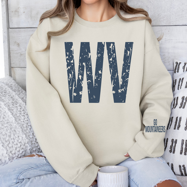Vintage WV with sleeve